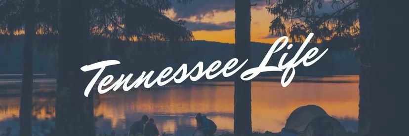 ATennesseelife's profile banner image