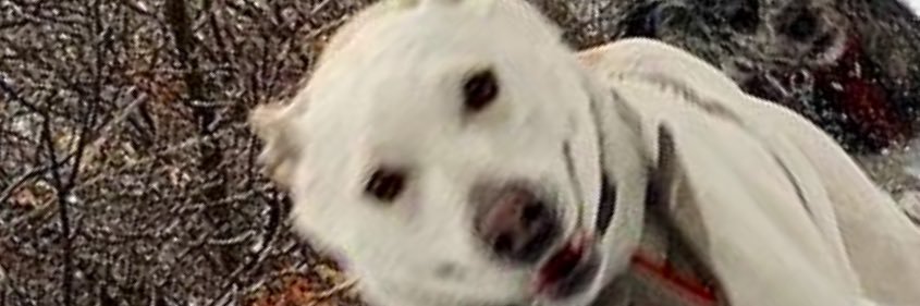 gvanigzalez's profile banner image