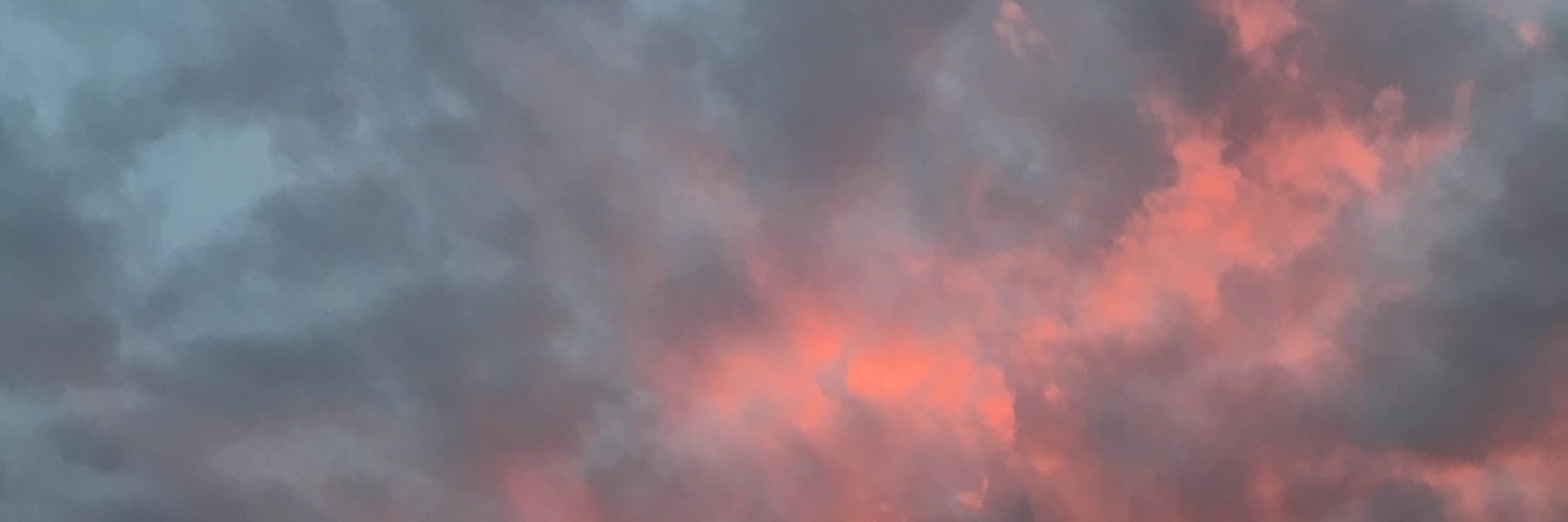 Michael Patriot banner