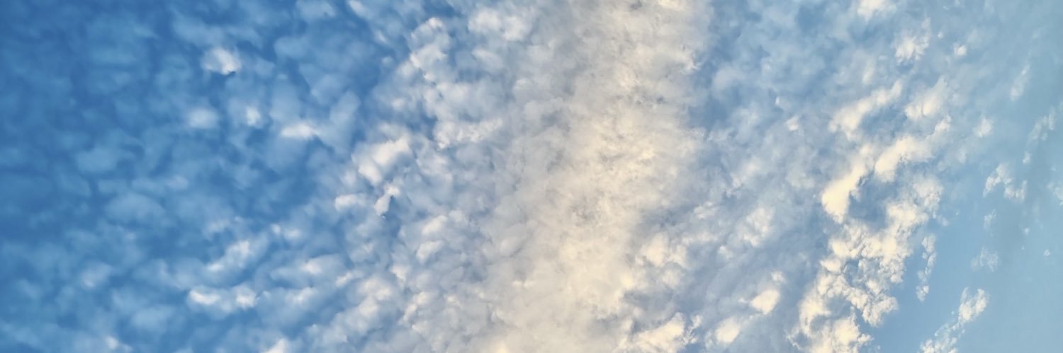 まる banner