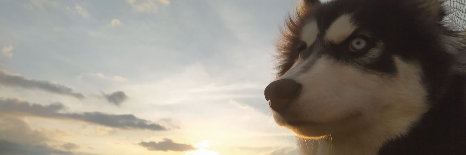 AlejoRalz's profile banner image