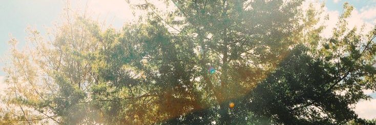 grace banner