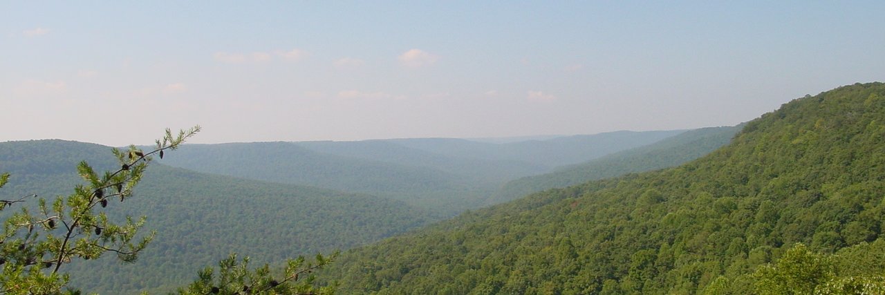 CommSharesTN's profile banner image