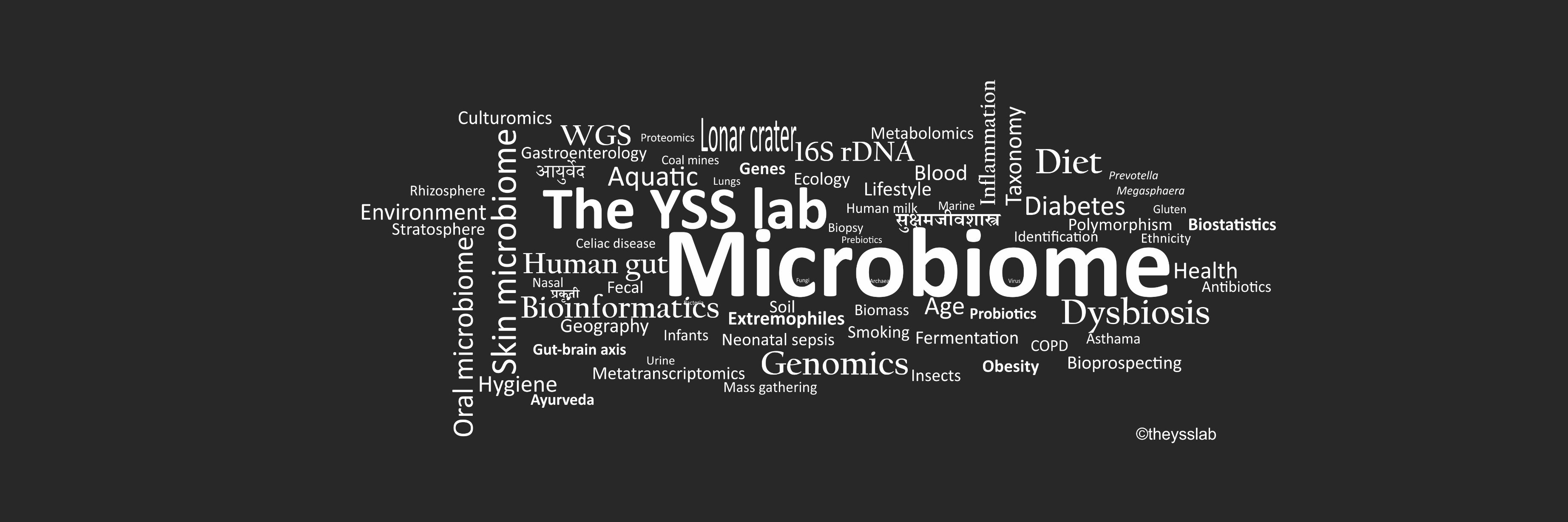 The YSS lab banner