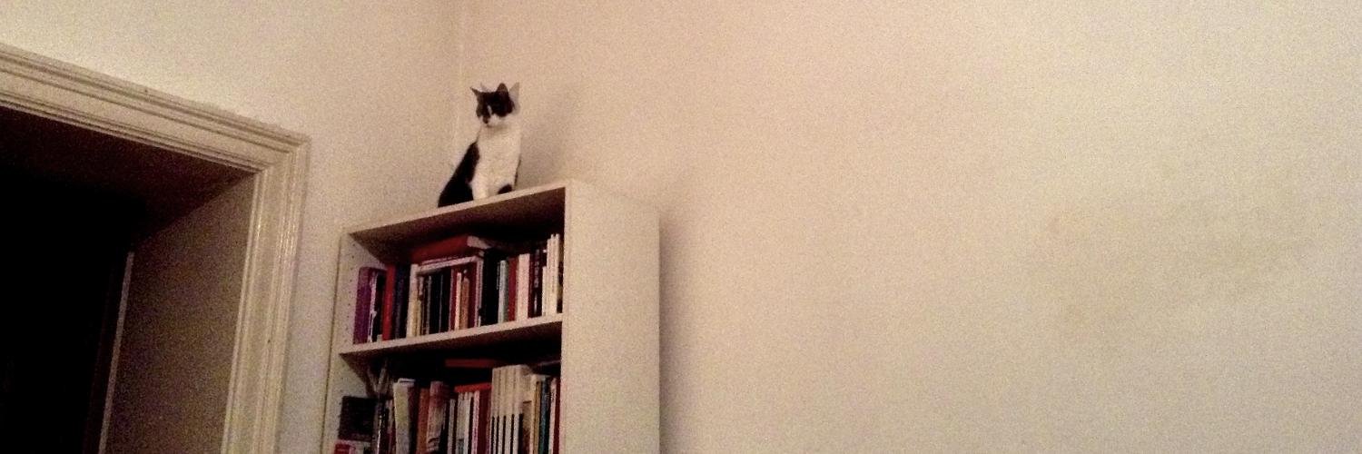 Daniel Meßner ⏳ banner