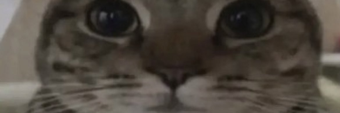 Certified_Rogue's profile banner image