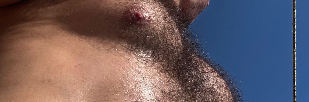 osito peludogt banner