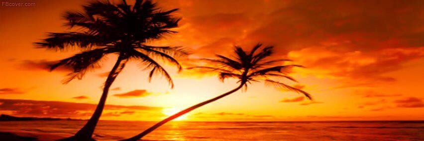 TheBriz365's profile banner image