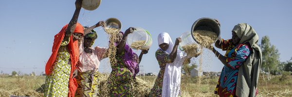 InsuResilience Profile Banner