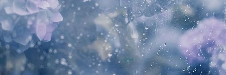 icysuika's profile banner image