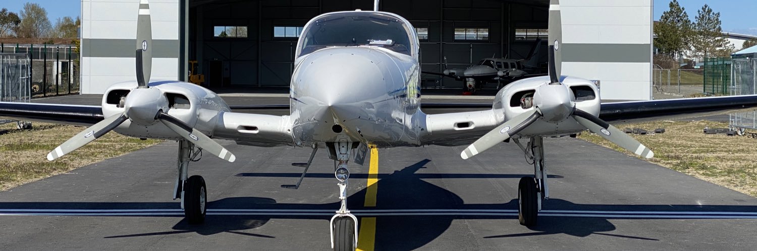 APPG GeneralAviation banner