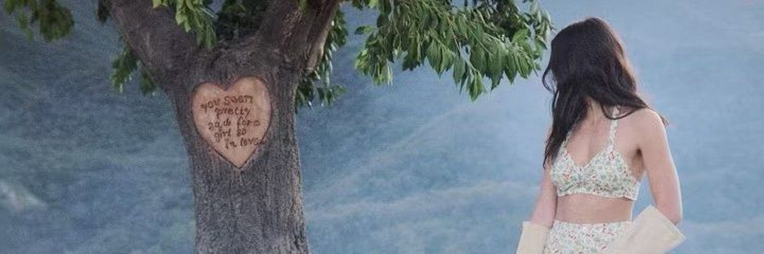 moi ꕤ banner
