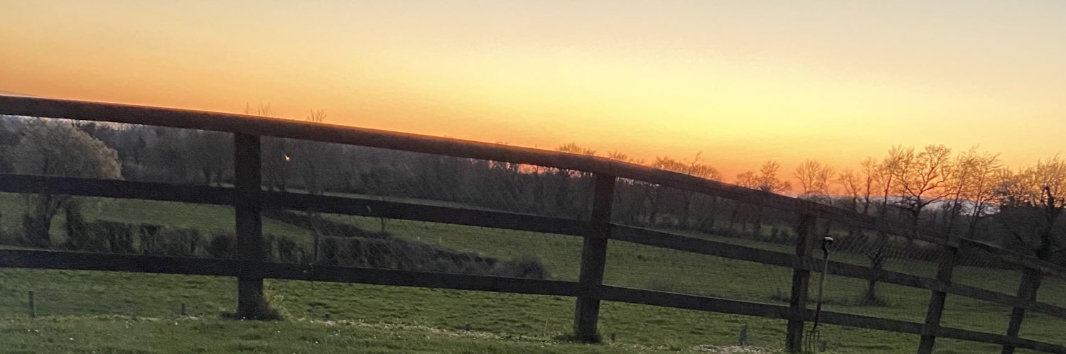 csronan's profile banner image