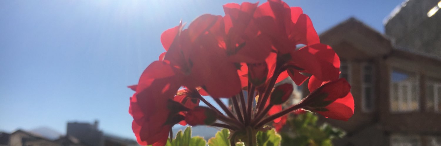 FRazizadeh's profile banner image