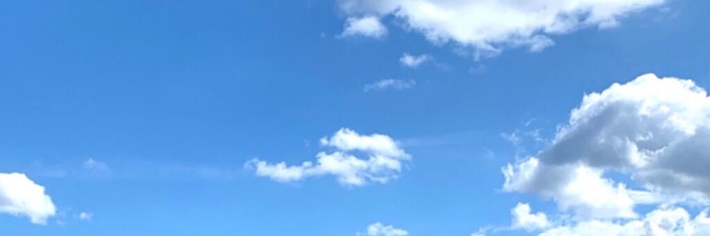 Ana Blanco banner