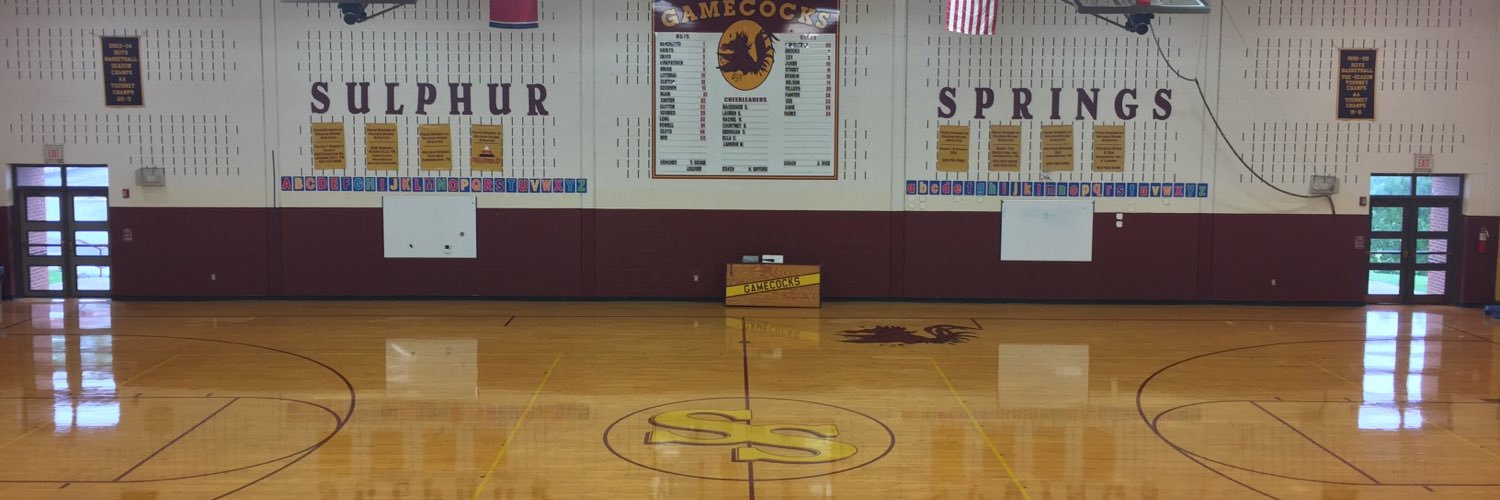 Sulphur Springs P.E. banner