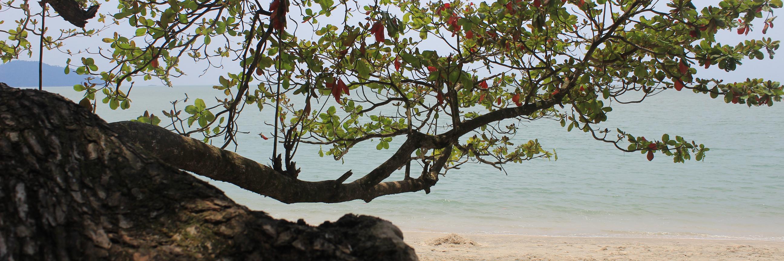 JayJamils's profile banner image