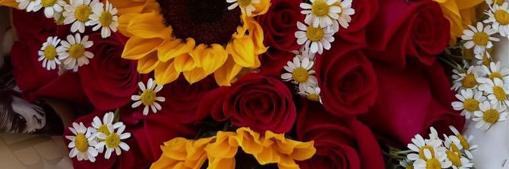 Ploi_J banner