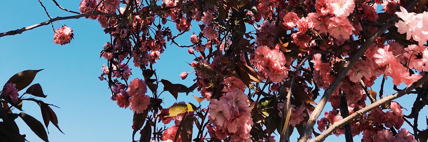 Imogen Louisa photography banner