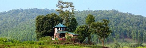 🇦‌🇲‌🇦‌ 🇴‌🇩‌🇮‌🇸‌🇭‌🇦‌ banner