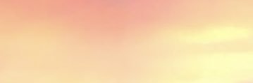 charrotss 𓃠(รับรีทวีตค่ะ 𓊆ྀི𓊇) banner