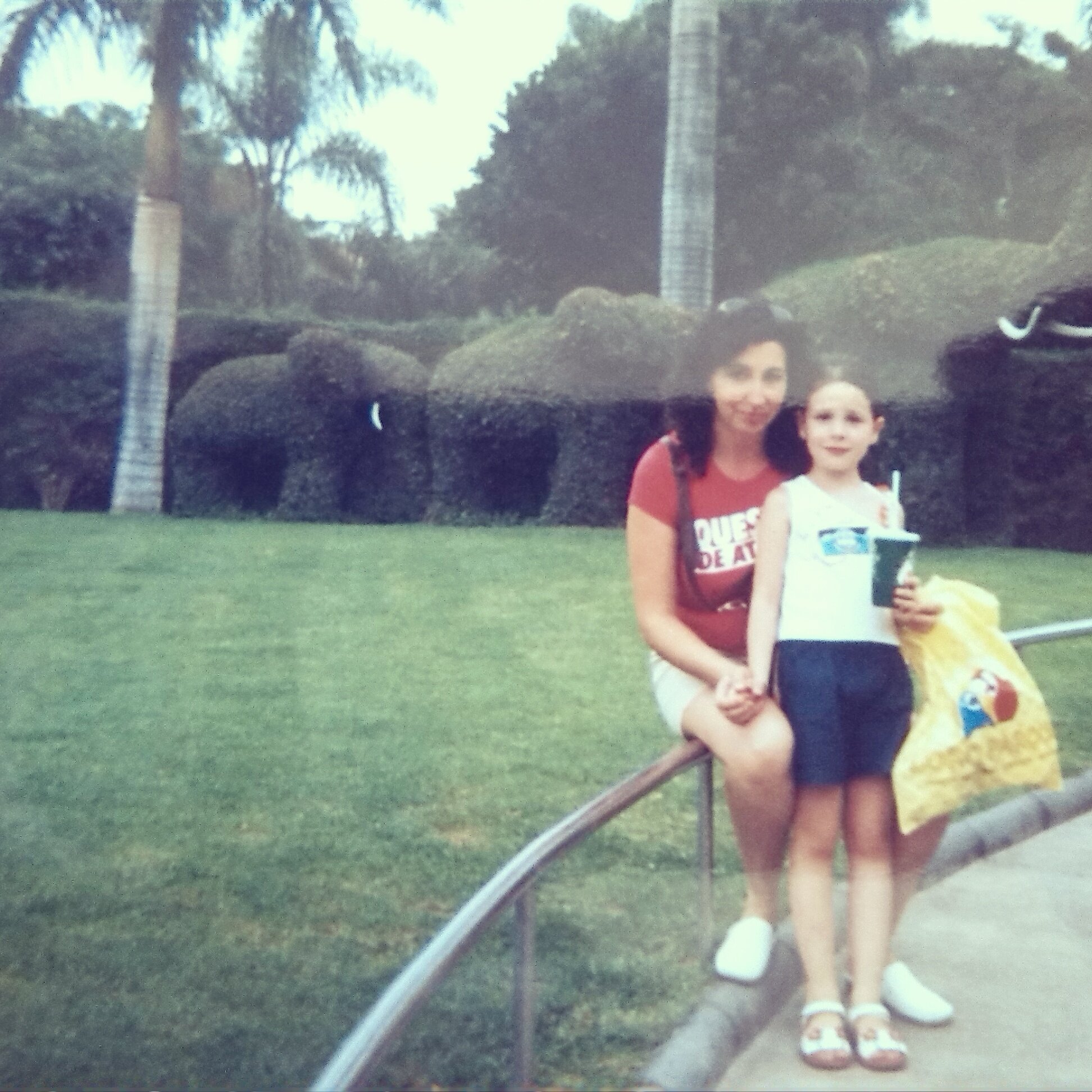 laura_segorbe's profile banner image
