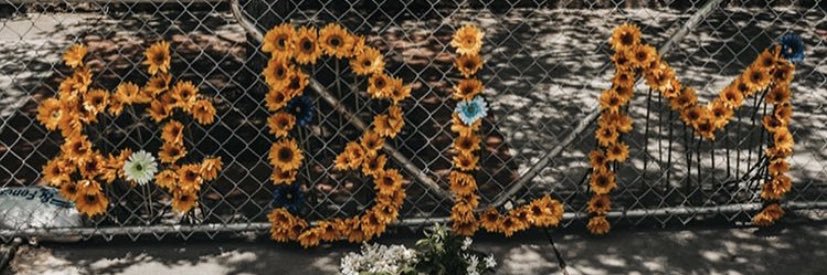 Brooke Mitchell banner