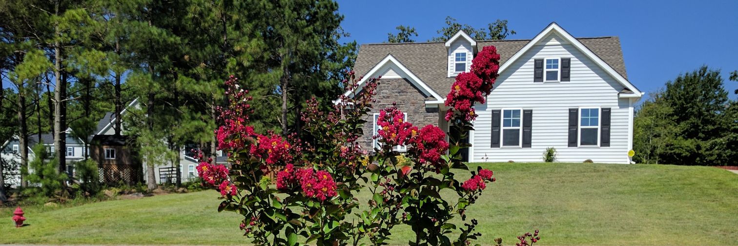 Scott Panagrosso banner