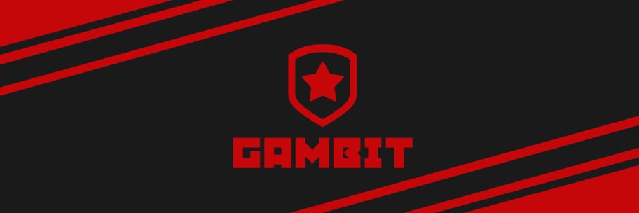 GambitEsports banner