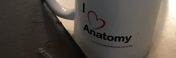 AnaMorphoSci Profile Banner