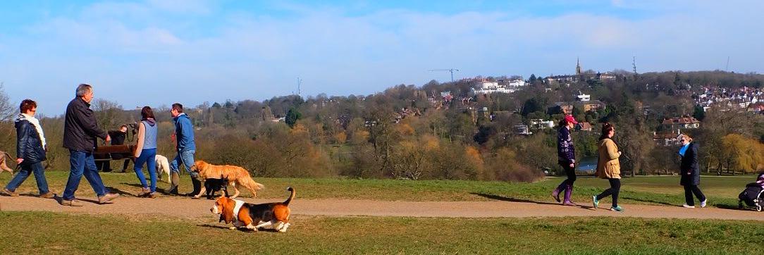 RedHeadedBaker banner