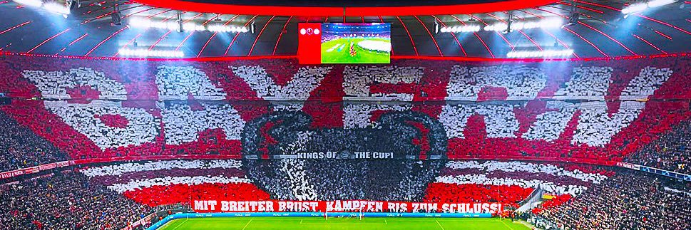 Haider 🇵🇸 banner