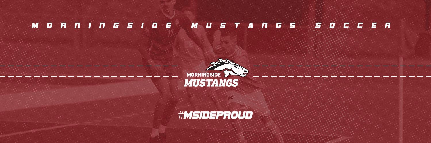 Morningside Mustangs Soccer banner