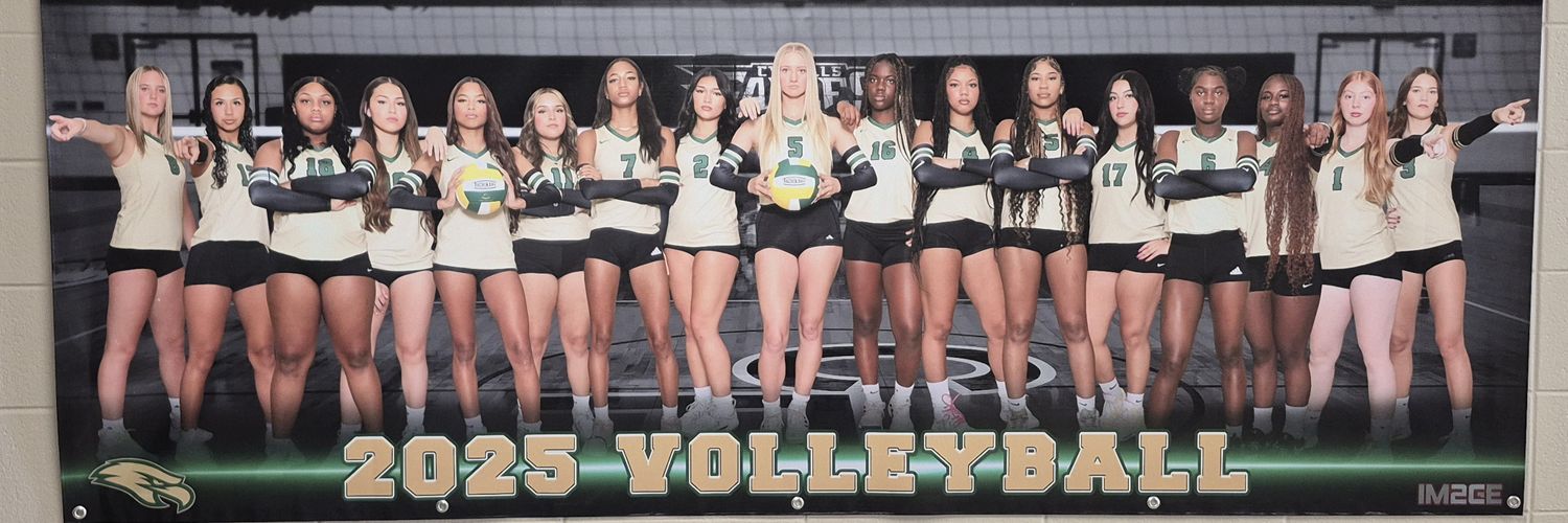 Cy Falls Volleyball banner