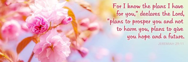 XojianHarry Profile Banner