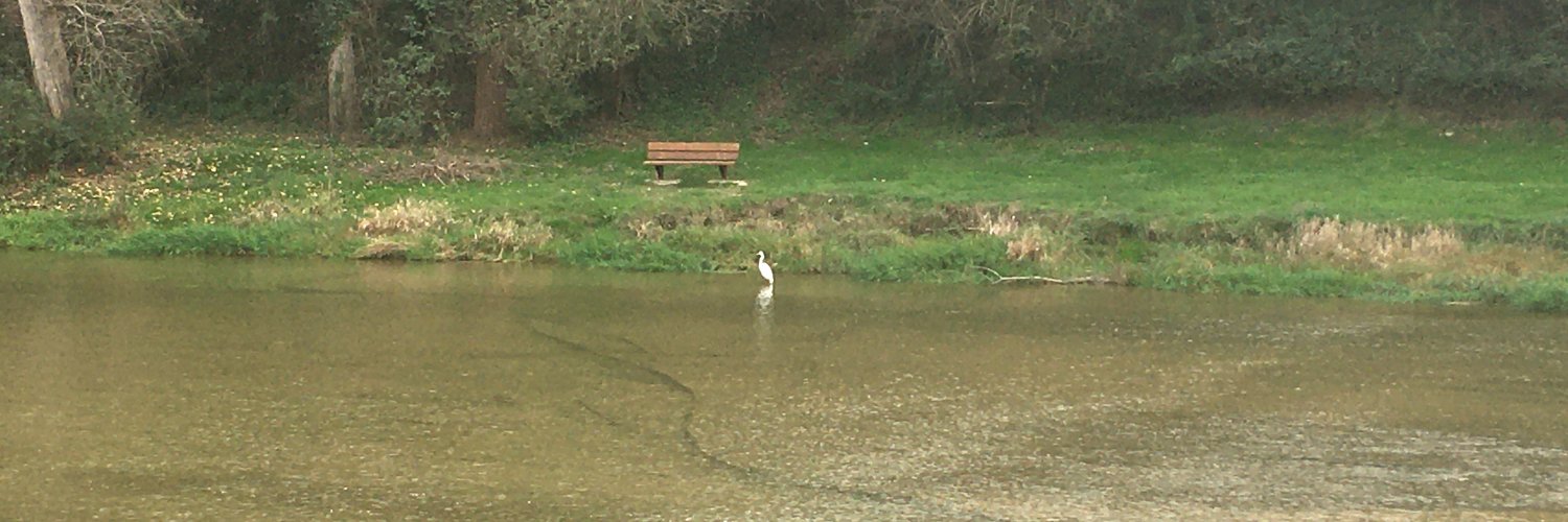 Mercè Molist banner
