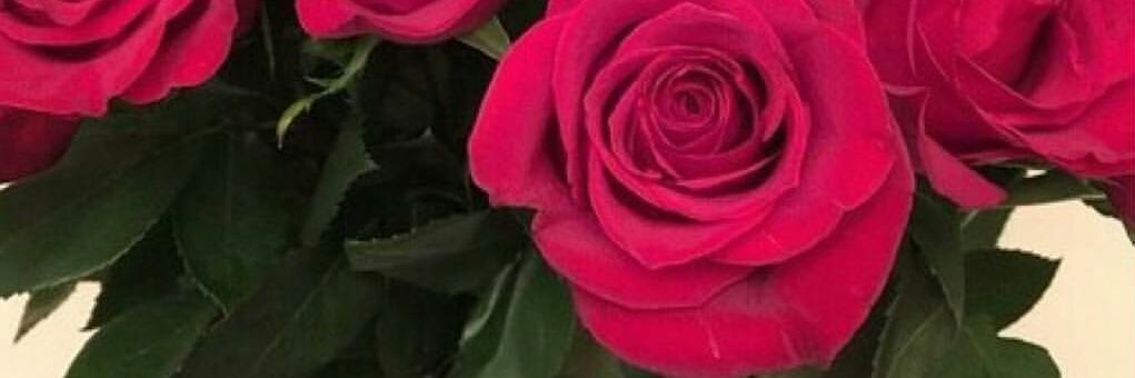 CikBoom's profile banner image