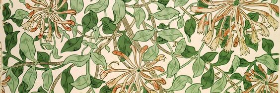 cami_am's profile banner image