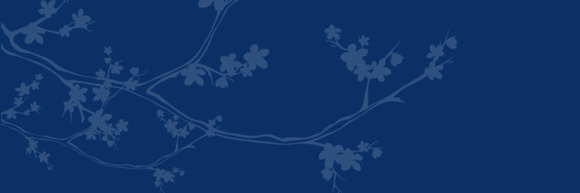 ESC 17 Lesson Study banner