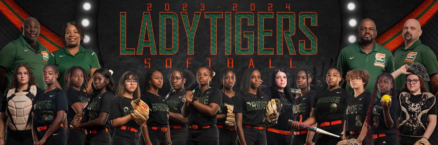 TigersoftballS's profile banner image