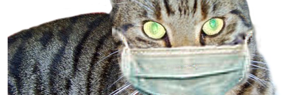 Lazypaws's profile banner image