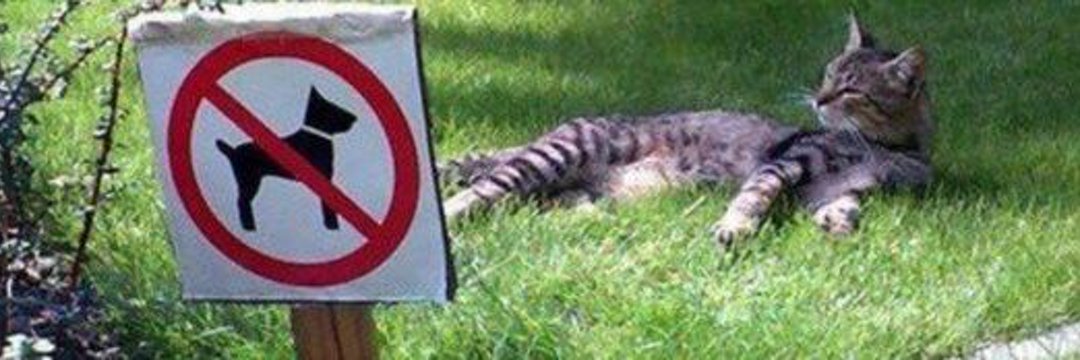 Eduardo Ortega ®️ banner