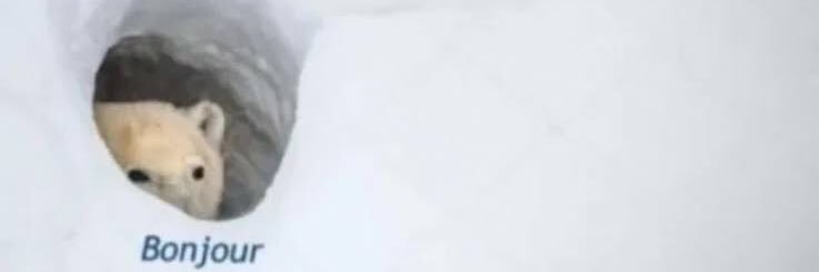 cansizio's profile banner image