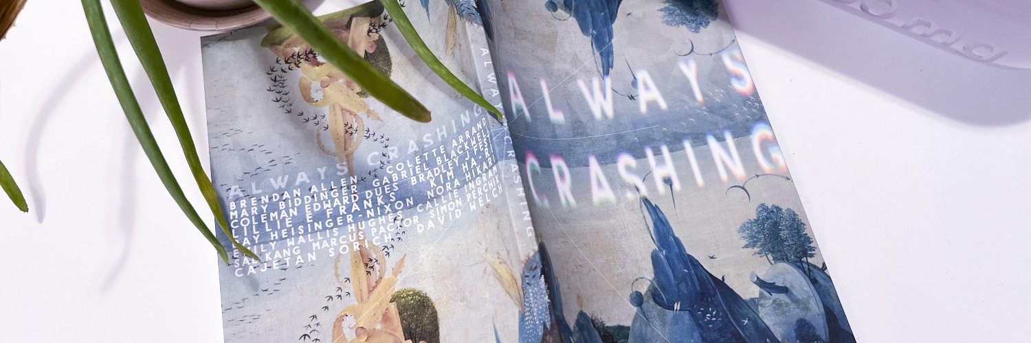 Always Crashing banner