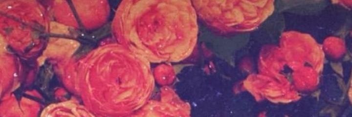 lydiahmureithi's profile banner image