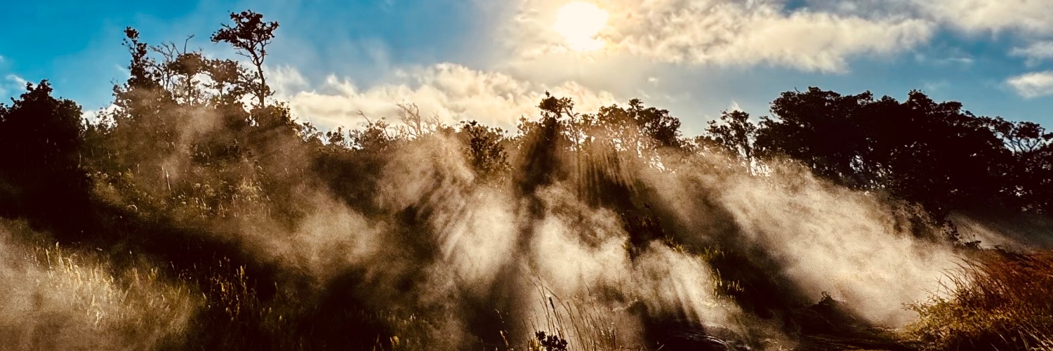 Steven Gutterman banner