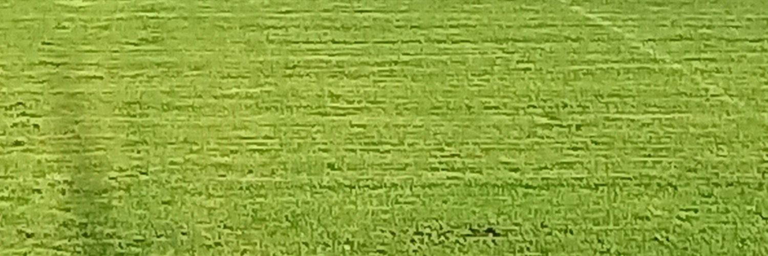 Geraldine Hicks banner