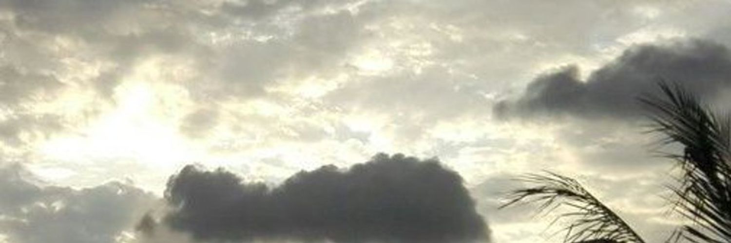 🇵🇰 بخاری صاحبہ 🇵🇸 banner