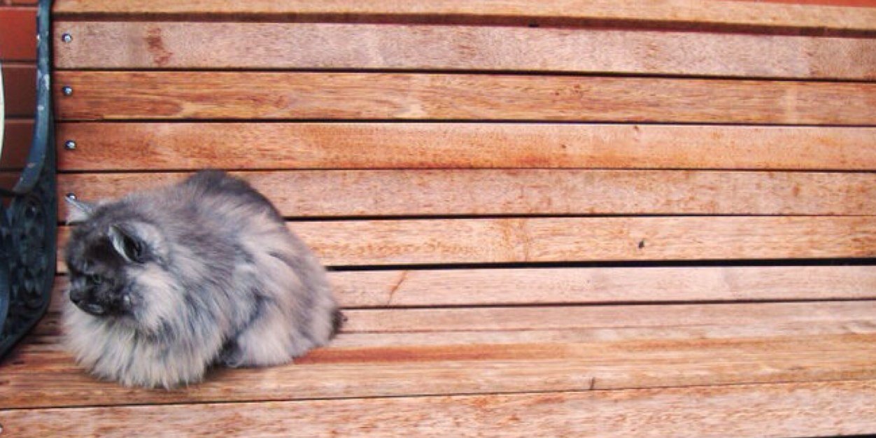 ___linht's profile banner image