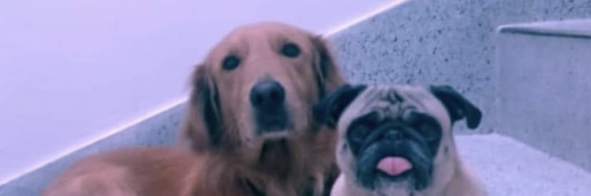 EdwardBotero1's profile banner image